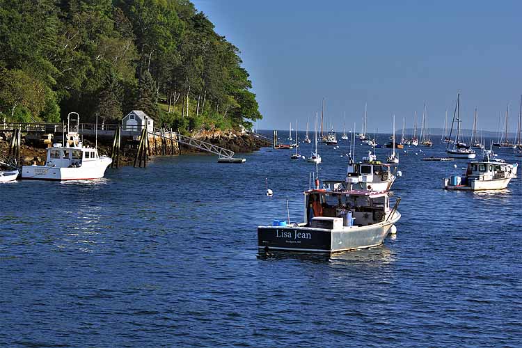 harbor